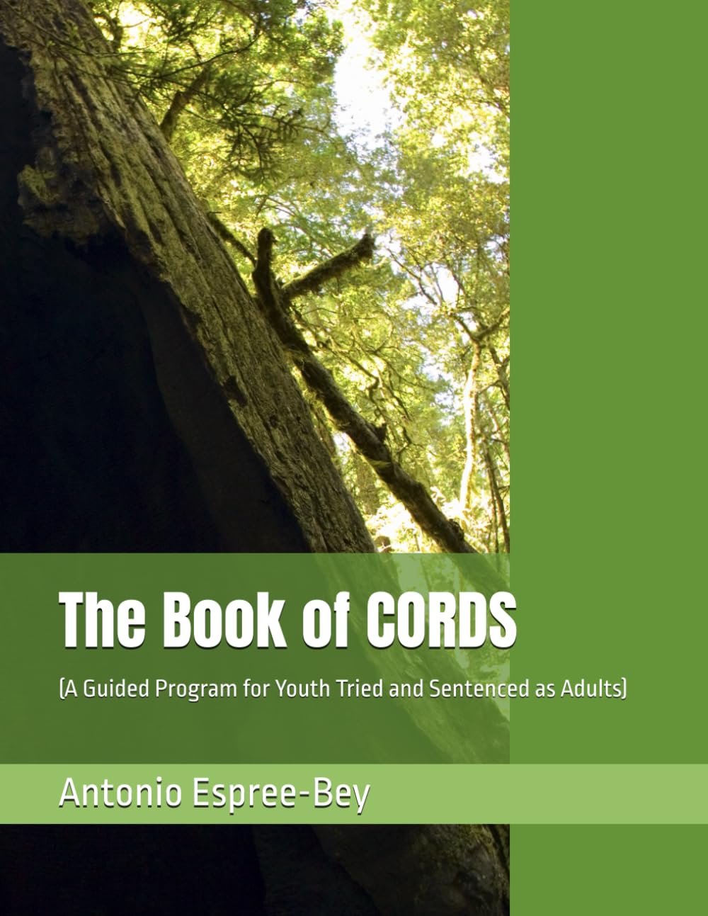 The Book of CORDS: (A Guided Program for Youth Tried and Sentenced as Adults)