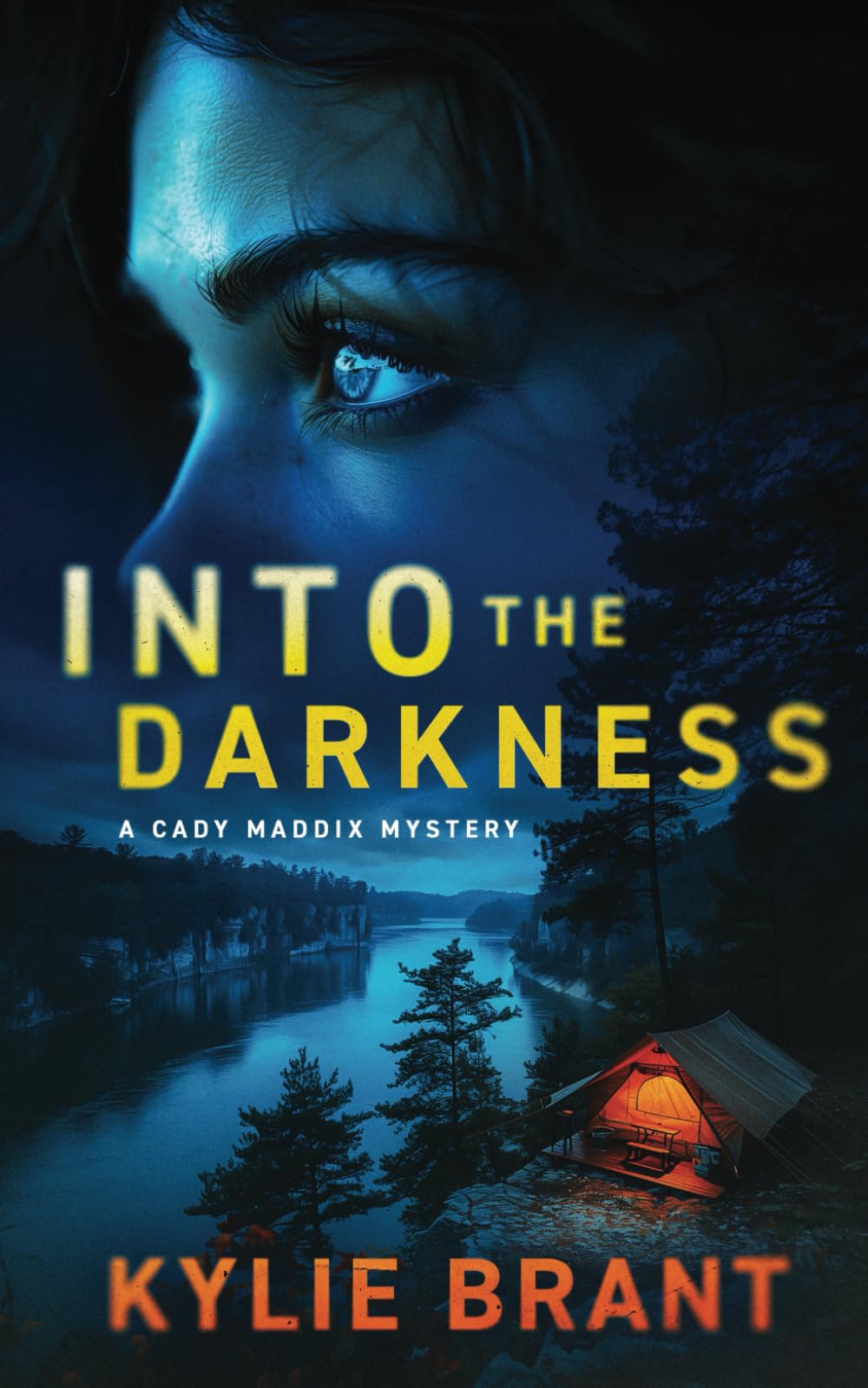 Into the Darkness (Cady Maddix Mystery Book 4): Cady Maddix Mystery