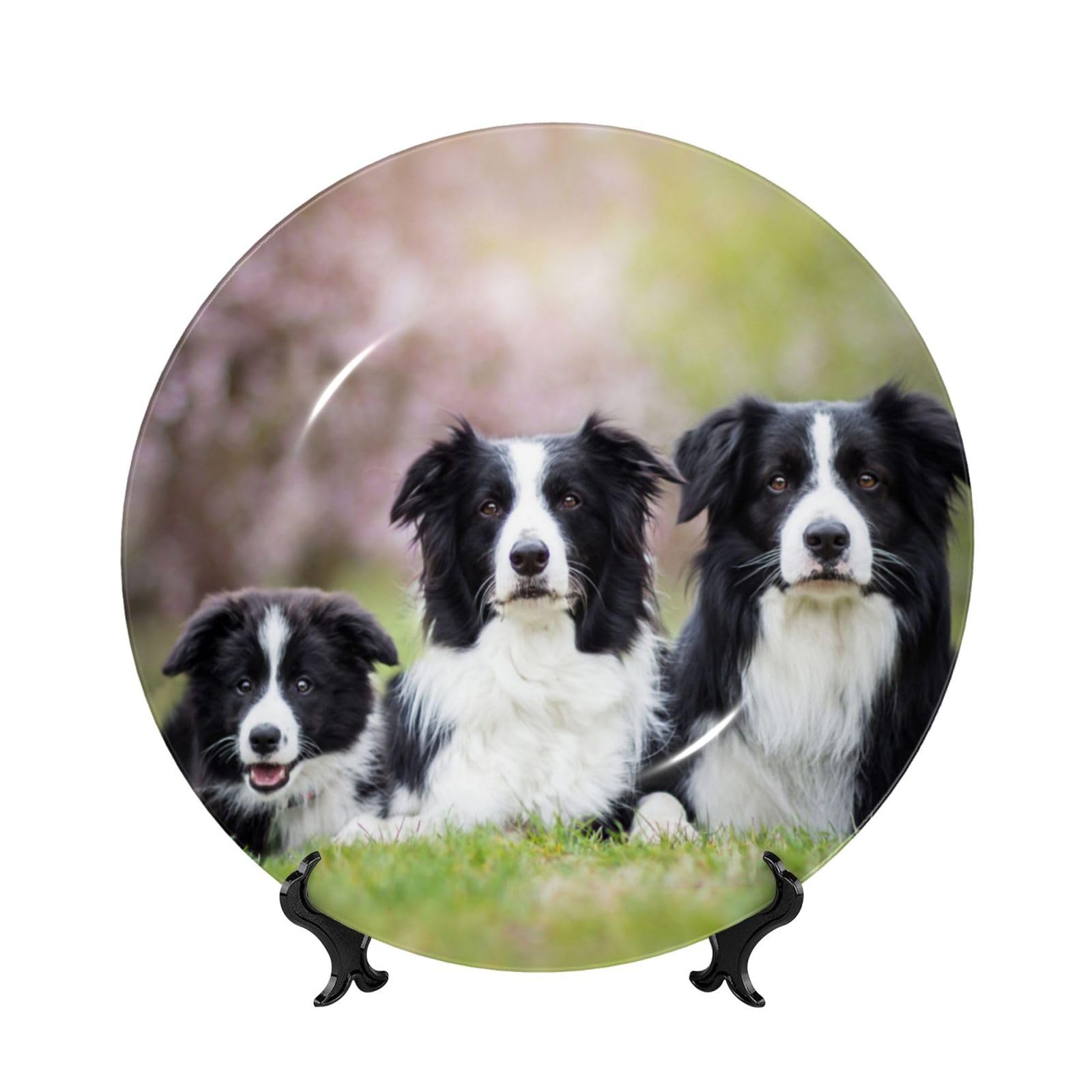 Feehsp Border Collie Family，Bone China Decorative Plate with Display Stand,8in