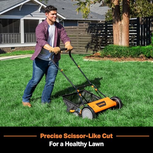 Image of LawnMaster 20 inch 5-Blade Push Reel Lawn Mower - LMRM2001