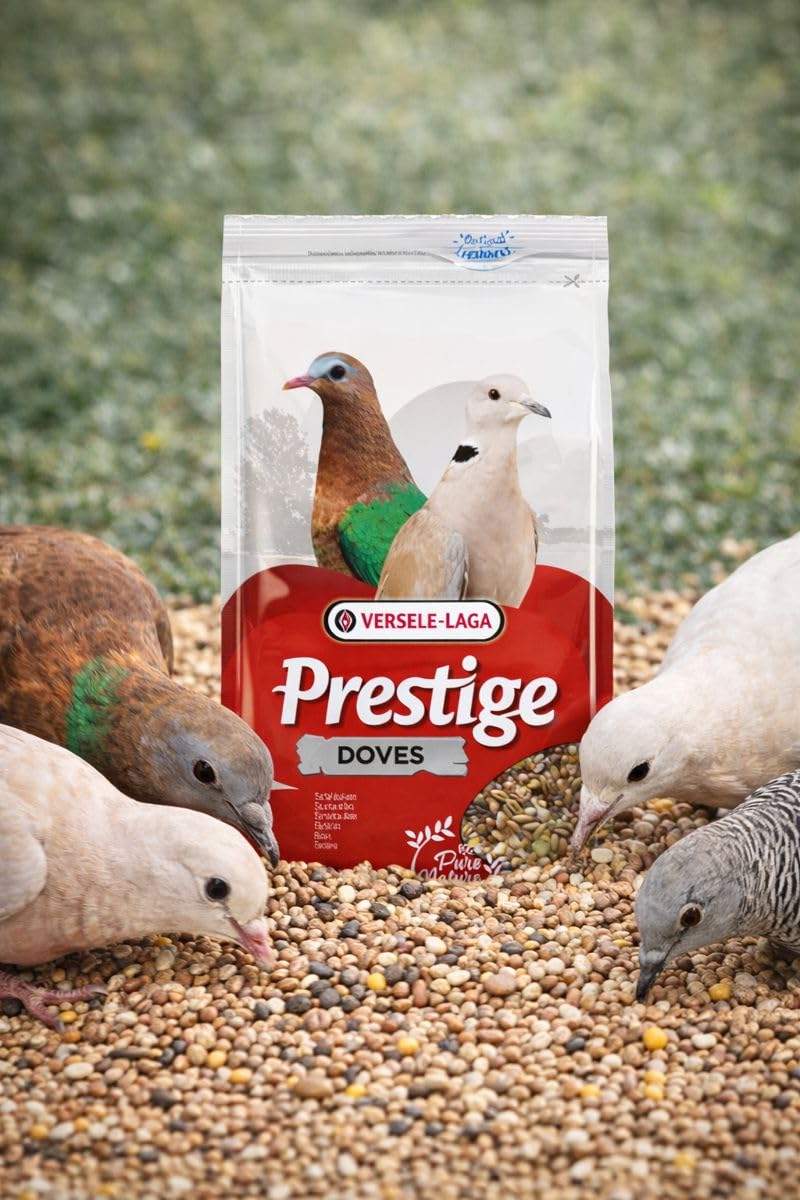 Versele-laga Prestige Alimento Semi per Piccioni - 4 kg