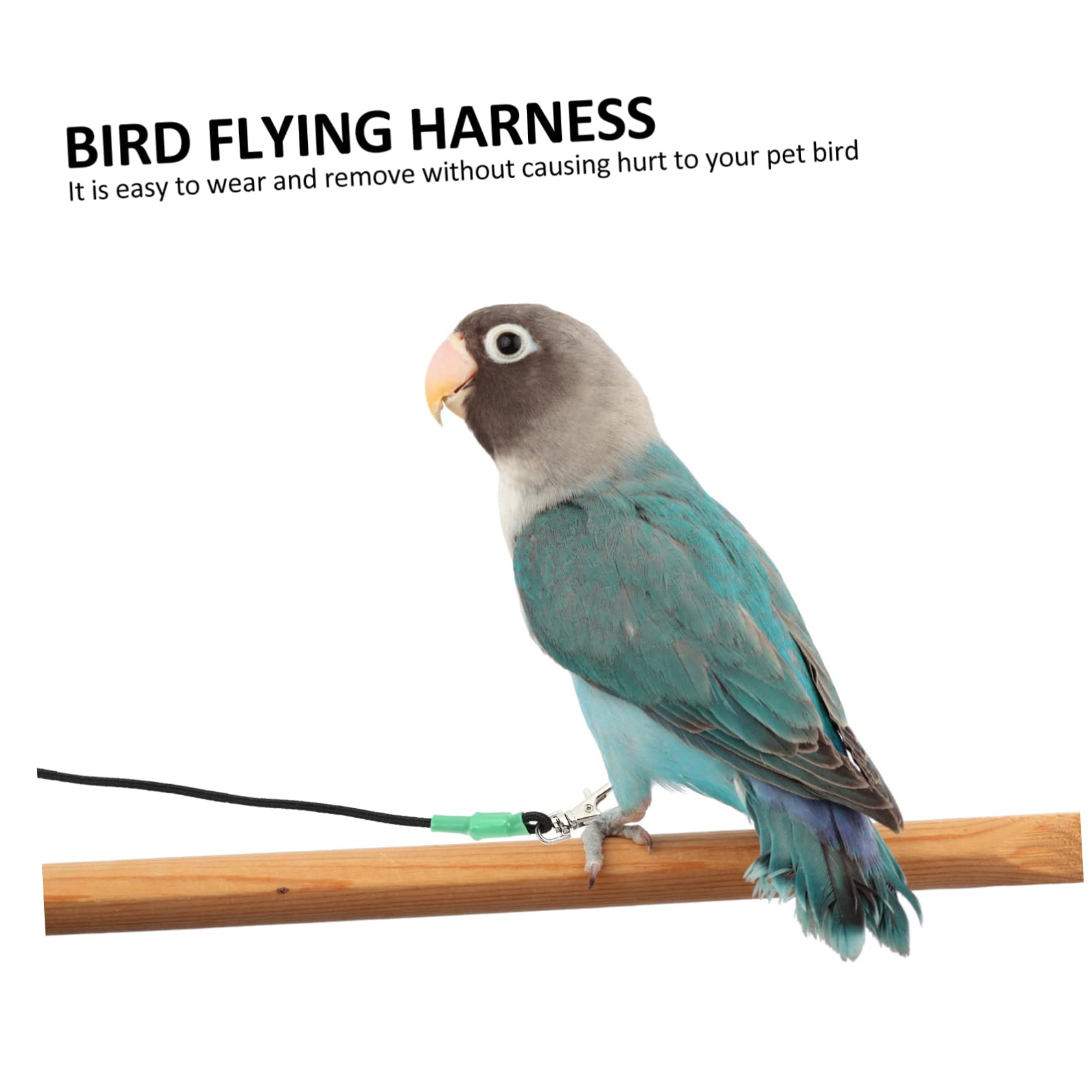 COLLBATH Arnés y para Pájaros Cuerda De Entrenamiento Antimordedura para y Pequeñas para y Entrenamiento De Aves