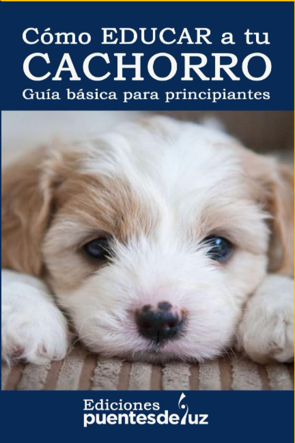 CÓMO EDUCAR A TU CACHORRO: Guía básica para principiantes
