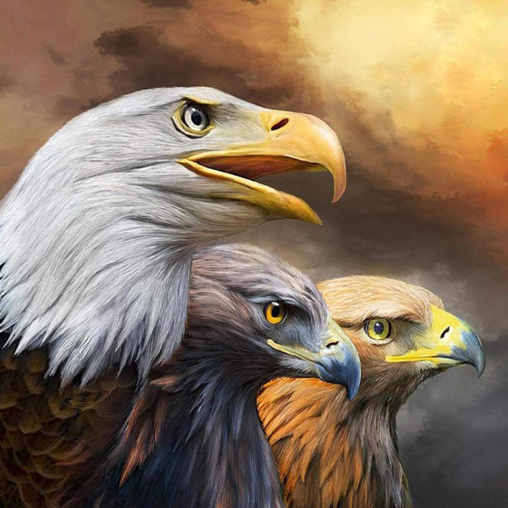 Hoobee Diamond Painting Aquila, Diamond Painting Kit Animale, Pittura Diamante Fai Da Te, Punto Croce Kit Arte E Artigianato Per Casa E Pareti Decorazione (30x40 cm)-77