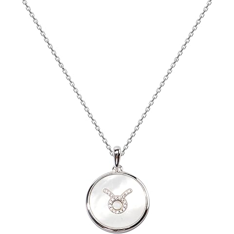 XISAINI 925 Sterling Silver Round Necklace with Twelve Constellations for Women