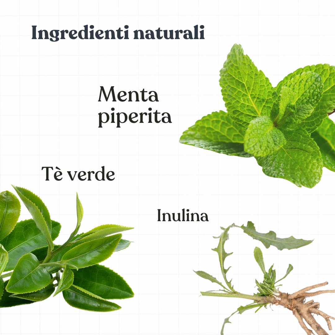 Bàu Dentifricio Spray per Cani, Pulizia Denti Cane Profonda, Spray Alito Cane Sgradevole, Previene Tartaro, Dentifricio per Cani Arricchito con Menta ed estratti di Tè Verde - 100 ml