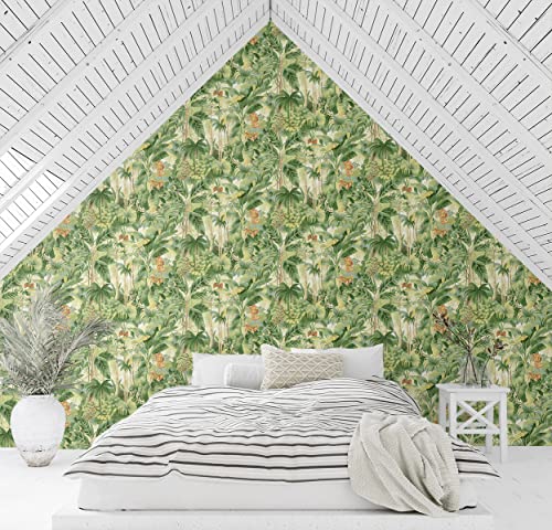 Image of Tommy Bahama - Peel and Stick Wallpaper, Botanical Wallpaper for Bedroom, Powder Room, Kitchen, Vinyl, 30.75 Sq Ft Coverage (Nature Lover Collection, Aloe)