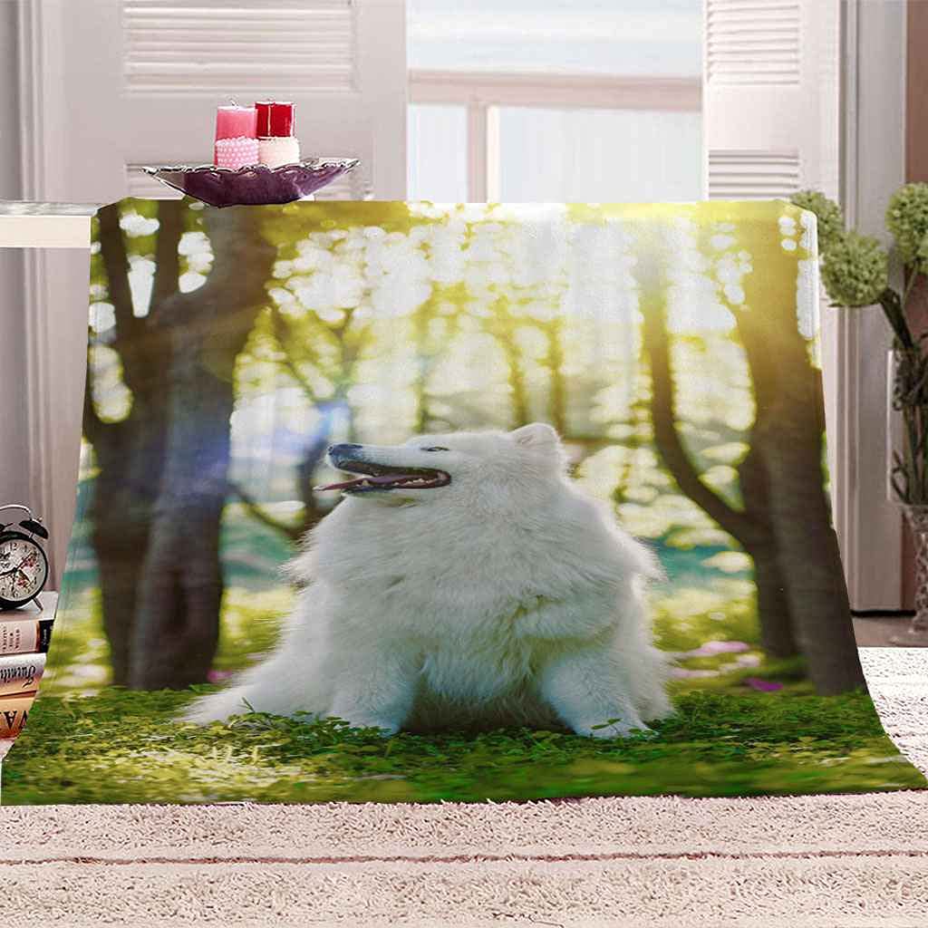 Couverture loup imprimé 3d douce au toucher et chaude toutes saisons 150x200