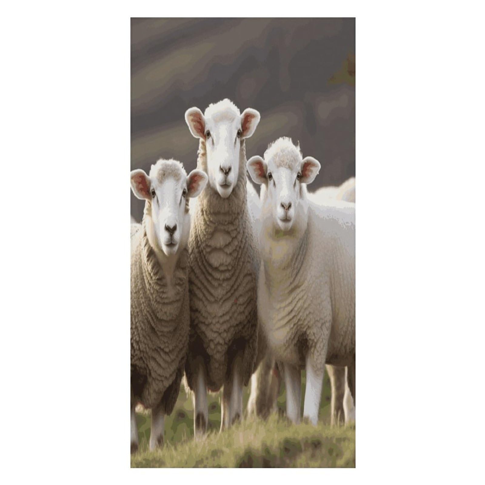 Adfgyerh Unisex Style Sheep And Lambs Bath Towels Beach Towel Lightweight Quick Dry, Bath Towel For Travel Sports Pool Swimming Bath Camping Yoga Adults160x80cm