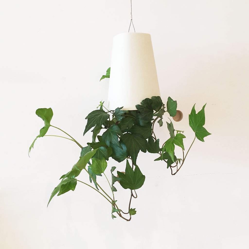 Boskke Sky Planter Recycled Small Off White | Desertcart Belize