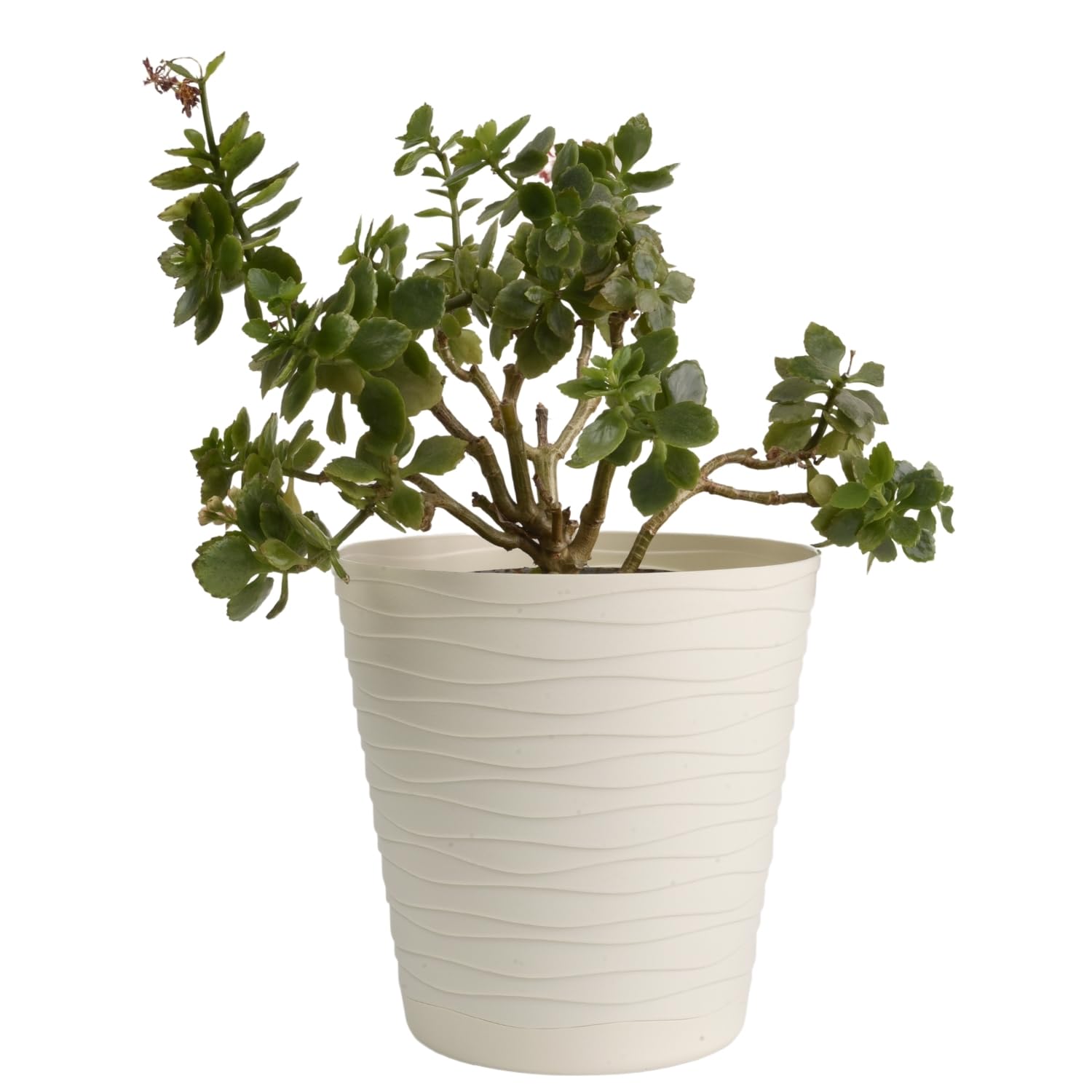 B2C Flower Pots 6 Colours 8 sizes Matt Plastic Plant Pots Planter + Saucer Tray Deco (Ecru, 30 cm)