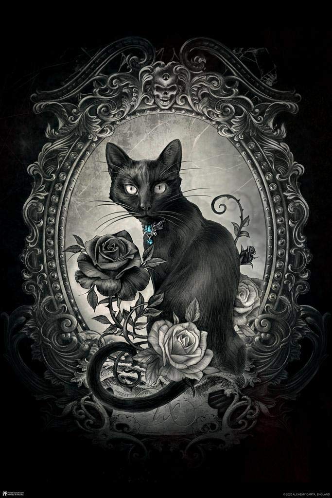 希少耽美系Goth、Black l CD 詰め合わせ Amazon.com: Alchemy Paracelsus Black Cat Gothic Goth Room Decor