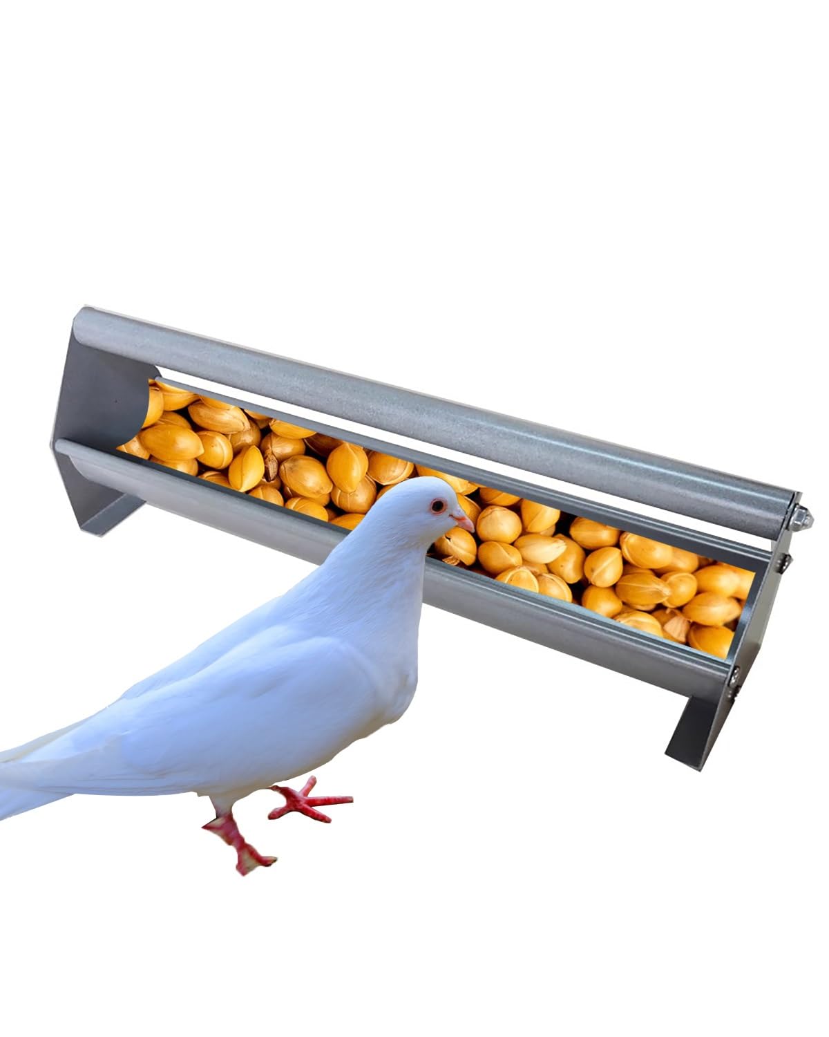 Comedero para Cerdos Comedero para Palomas Sin Desperdicios para Jaulas O Exteriores. Comederos Tipo Comedero para Palomas, Aves, Pollos y Aves de Corral.(120cm(47.2"))
