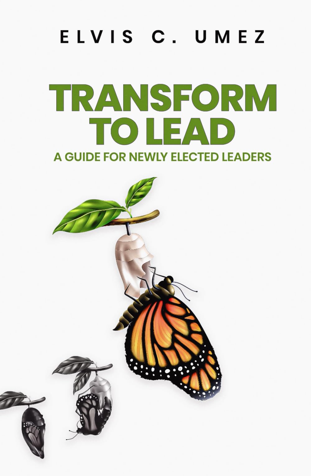 Transform to Lead: A Guide for Elected Leaders