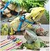 Serdokntbig Adjustable Reptile Lizard Harness Leash Adjustable Multicolor Light Soft Fashion