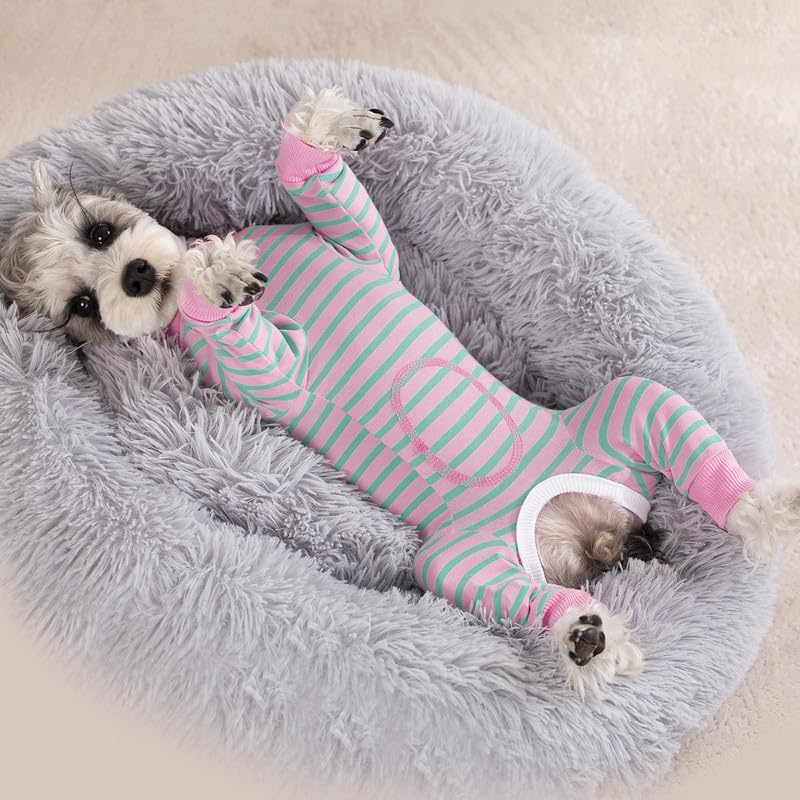 Image of Dog Surgery Recovery Suit for Small Dogs, 4-Legged Dog Onesie After Surgery with Back Snaps, Breathable Cotton Spay and Neuter Bodysuit for Female and Male Dogs