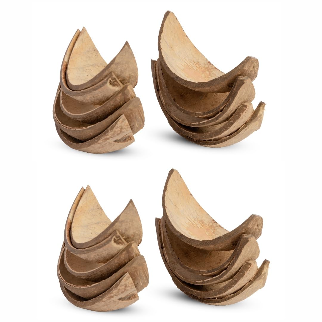 Handmade Coconut Shell Serving Boats - Set of 10 -7