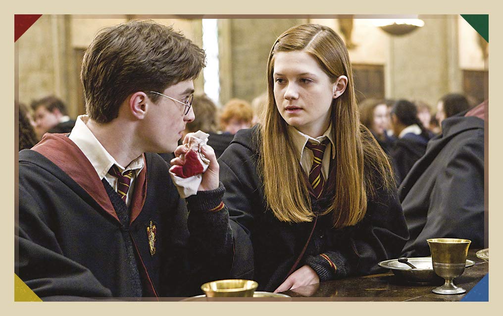 Panini France SA -LA Magia filmu Harry Potter 11 kieszeni, 2532-020