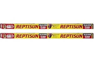 Reptisun Lighting System: Essential for Building Monster Reptiles
