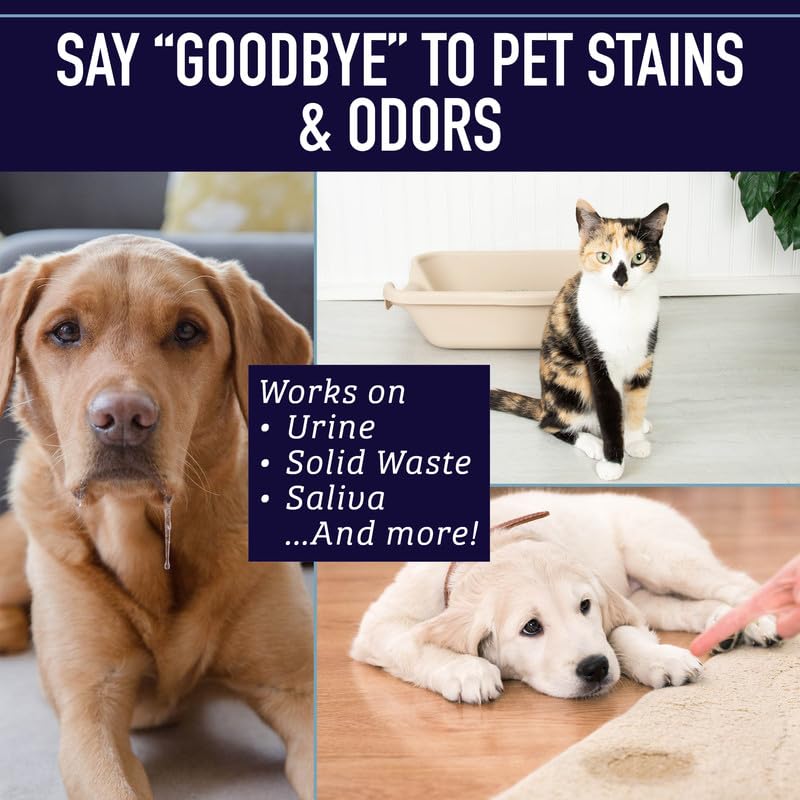 Leashboss Pet Stain & Odor Eliminator for Strong Odor, Pet Urine Odor Cleaner, Carpet Stain Remover for Dogs & Cats, Powerful Enzymatic Formula, Carpet Cleaner Spray, Urine Remover(Small) Leashboss Pet Stain & Odor Eliminator for Strong Odor, Pet Urine Odor Cleaner, Carpet Stain Remover for Dogs & Cats, Powerful Enzymatic Formula, Carpet Cleaner Spray, Urine Remover(Small)