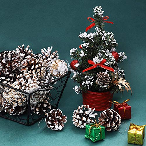 Sirogogo 24 Pieces Christmas Pine Cone Ornaments-3 To 4Cm,Natural Pinecones With String Pendant Crafts For Gift Tag Christmas Tree Party Hanging Decoration (Snow) #TOP2