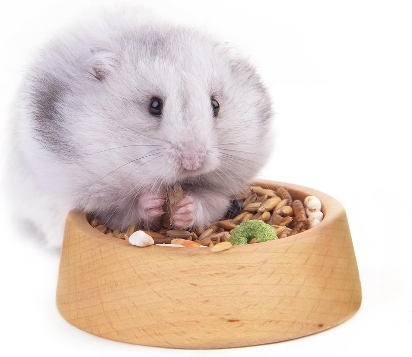Amazon.com : Rubor Hamster Food Bowl, Wooden Guinea Pig Food Dish ...