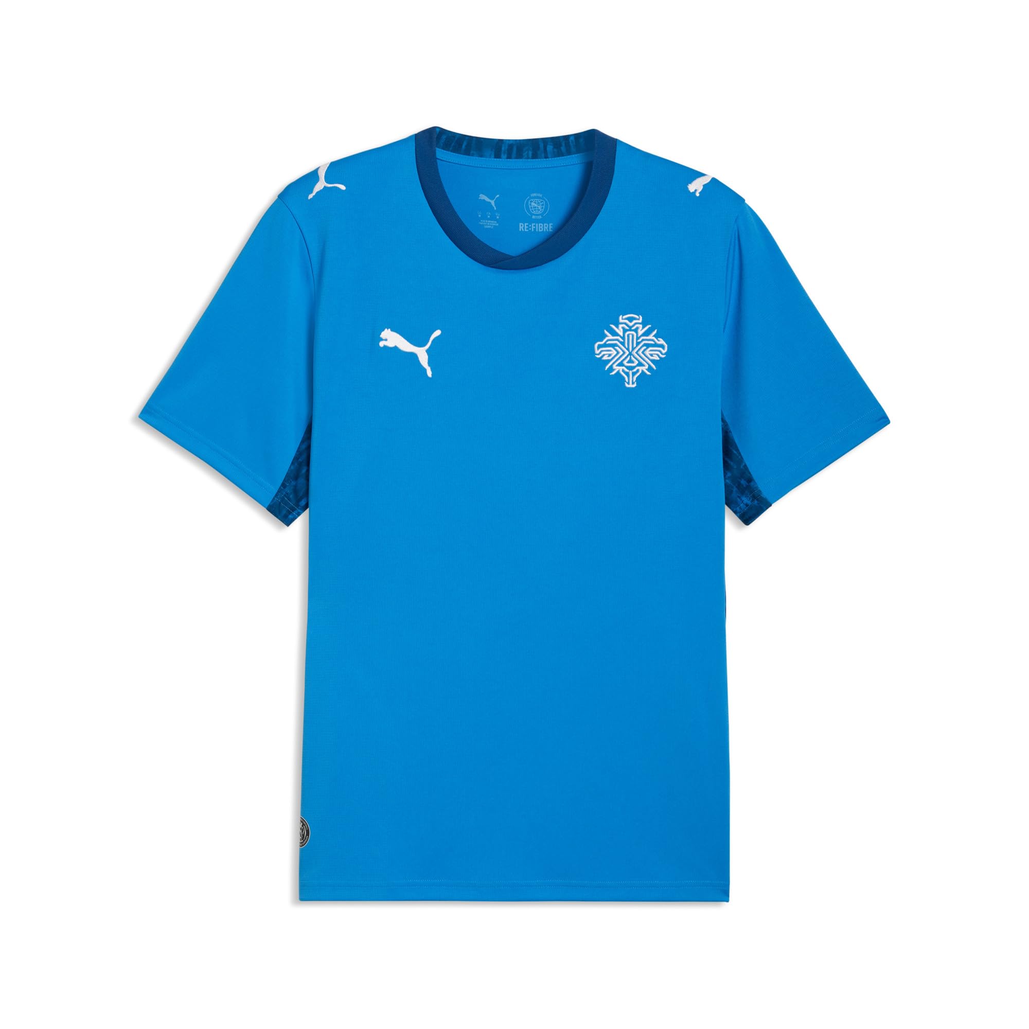 Amazon.com: PUMA Men's Iceland FA Home Jersey Replica, Electro