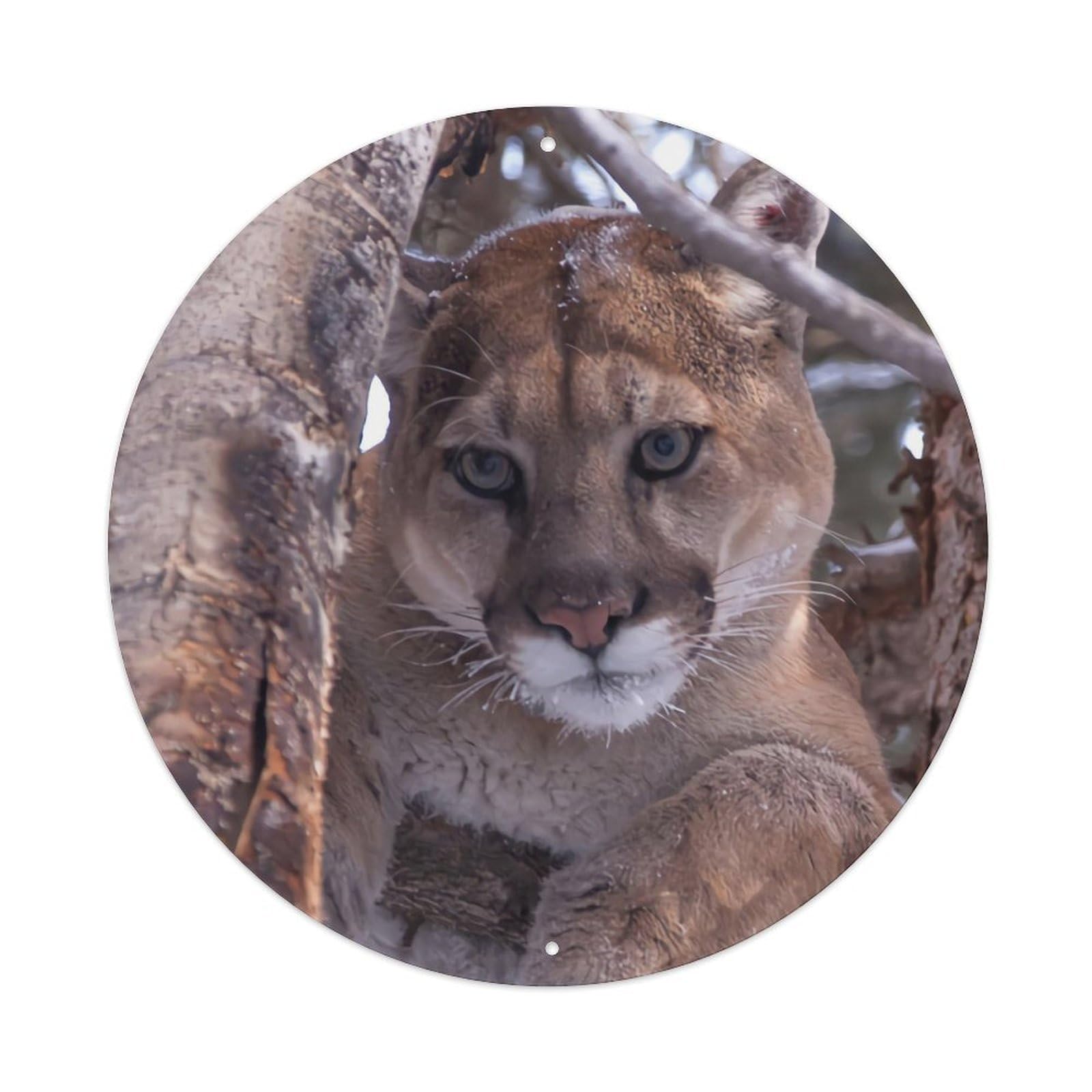 Large Feline Poster Beast Cougar Cheetah Leopard Metal Tin Sign
