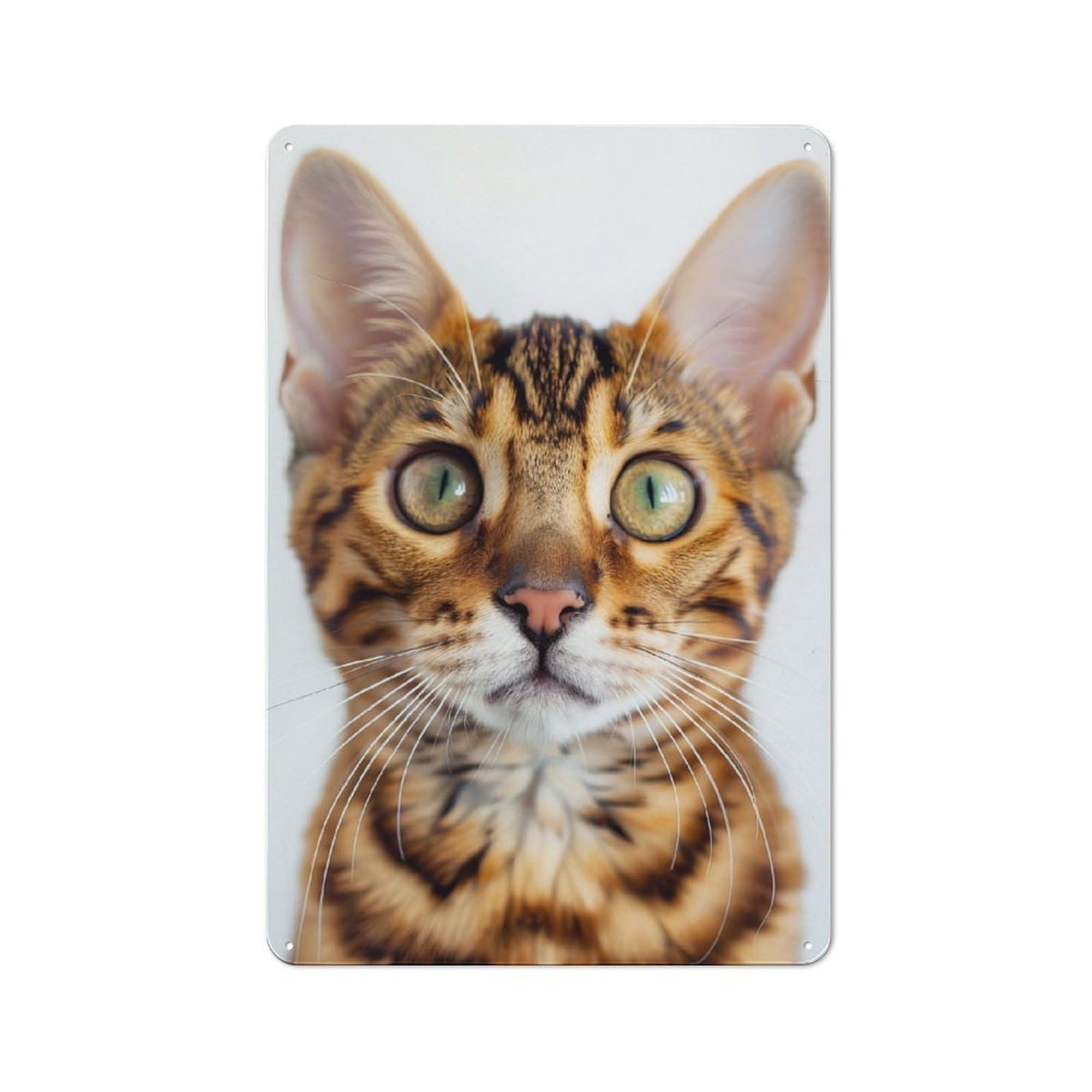 Junmoney Bengal Face Vintage Tin Sign 30X20cm, Rustic Bistro Wall Plaque For Kitchen, Cafe, Pantry Or Dining Room