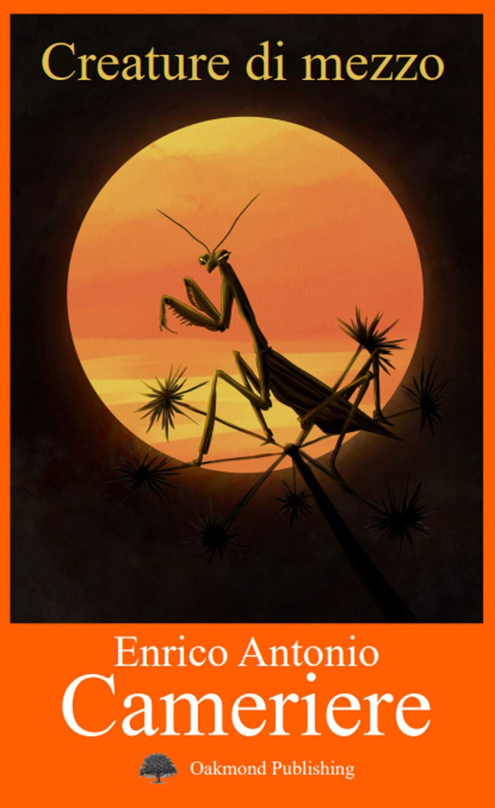 Creature di mezzo: Racconti di cinema e vita (Italian Edition)