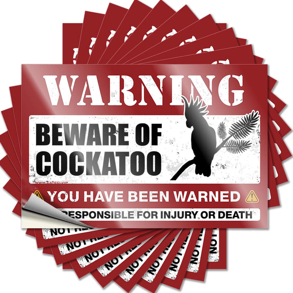 Fzfn Colour Beware Of Cockatoo Bumper Mimosa Self Adhesive | Optical Illusion Hard Vinyl Sticker Pack For Sand(6X9cm)
