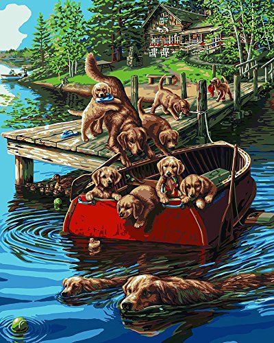 Plaid Paint by Number Kit, Dog Paddle, Size 20 16-Inch, 20