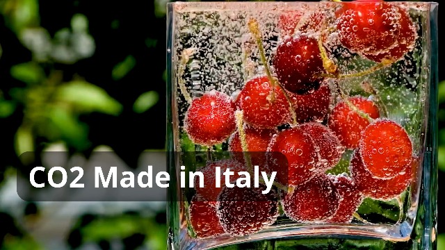 Bombola CO2 Alimentare Edenya 600g | Per Gasatori E Refrigeratori D'Acqua, Attacco M11x1, Fino A 110 Litri D'Acqua Frizzante - Foto 9