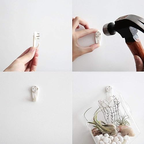 Miniatura 6 de Terrario de vidrio Mkono 2unidades para colgar en la pared Planta Diamond Planter