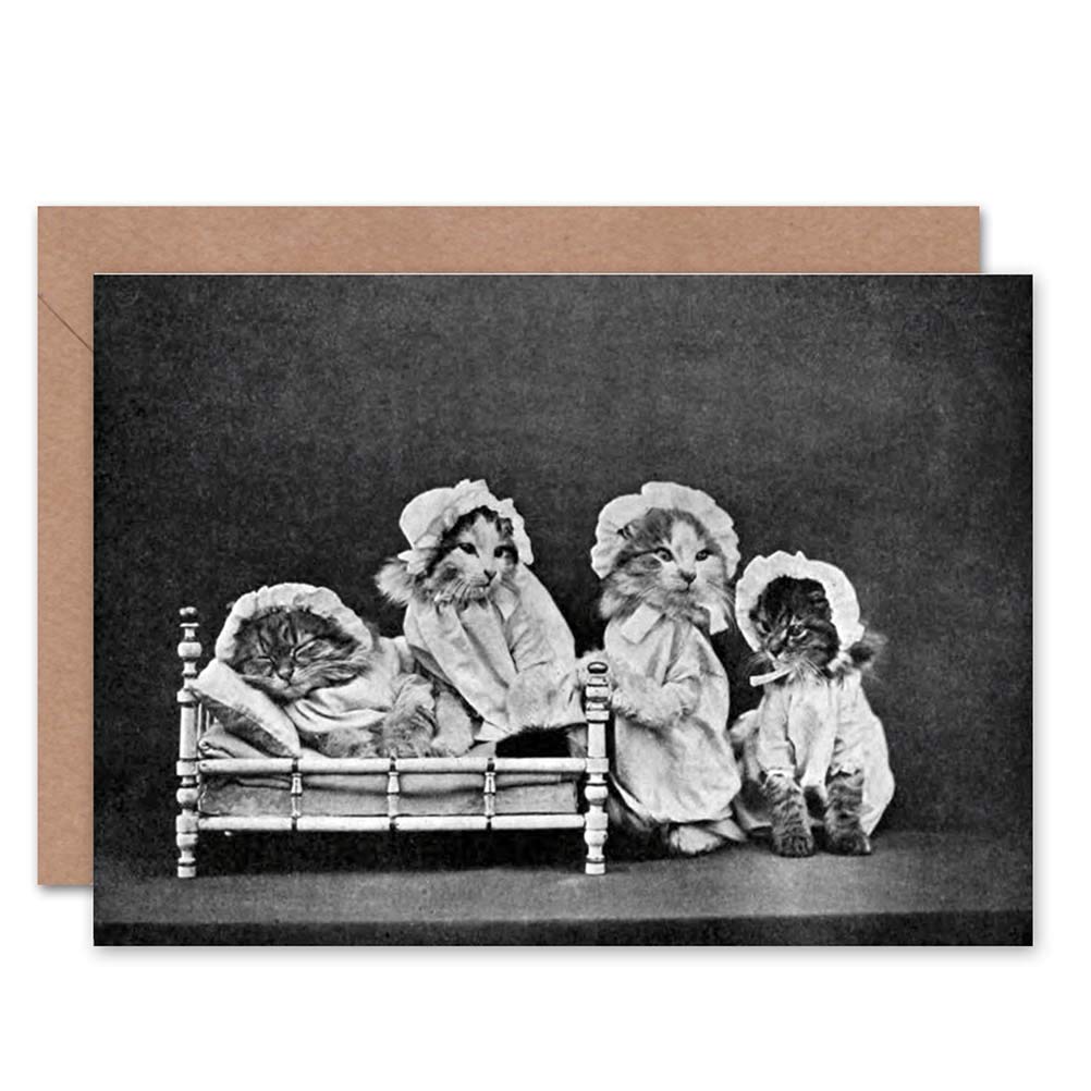 Wee Blue Coo NEW LITTLE FOLK OF ANIMAL LAND CATS DOGS ART GREETINGS GREETING CARD