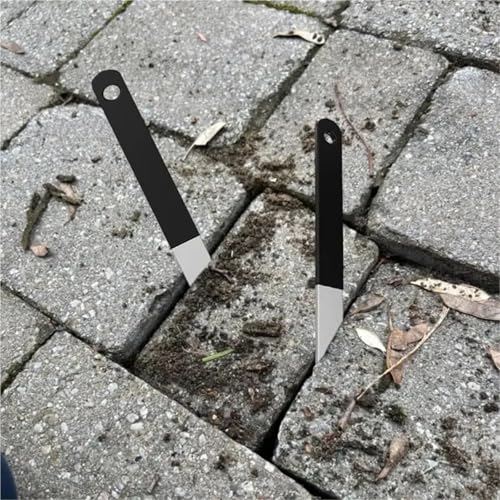 Technologie Microteeth pour enlever les pierres de vos pavés - 5