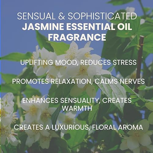 Miniatura 7 de Ahimsa Acondicionador ligero sin enjuague para cabello ondulado y rizado fórmula de aceite de coco para desenredar, definir rizos y domar el