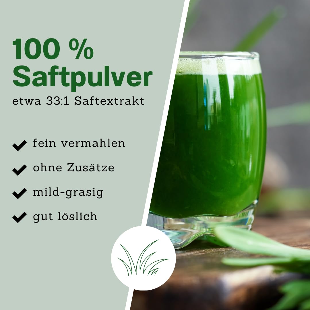 bioKontor – Bio Gerstengrassaftpulver 250g – Extrakt 33:1 – Gerstengras Saftpulver fein – Gerstengras Pulver Naturrein – ideal für Smoothies, grünen Saft & Getränke – Rohkostqualität aus den USA