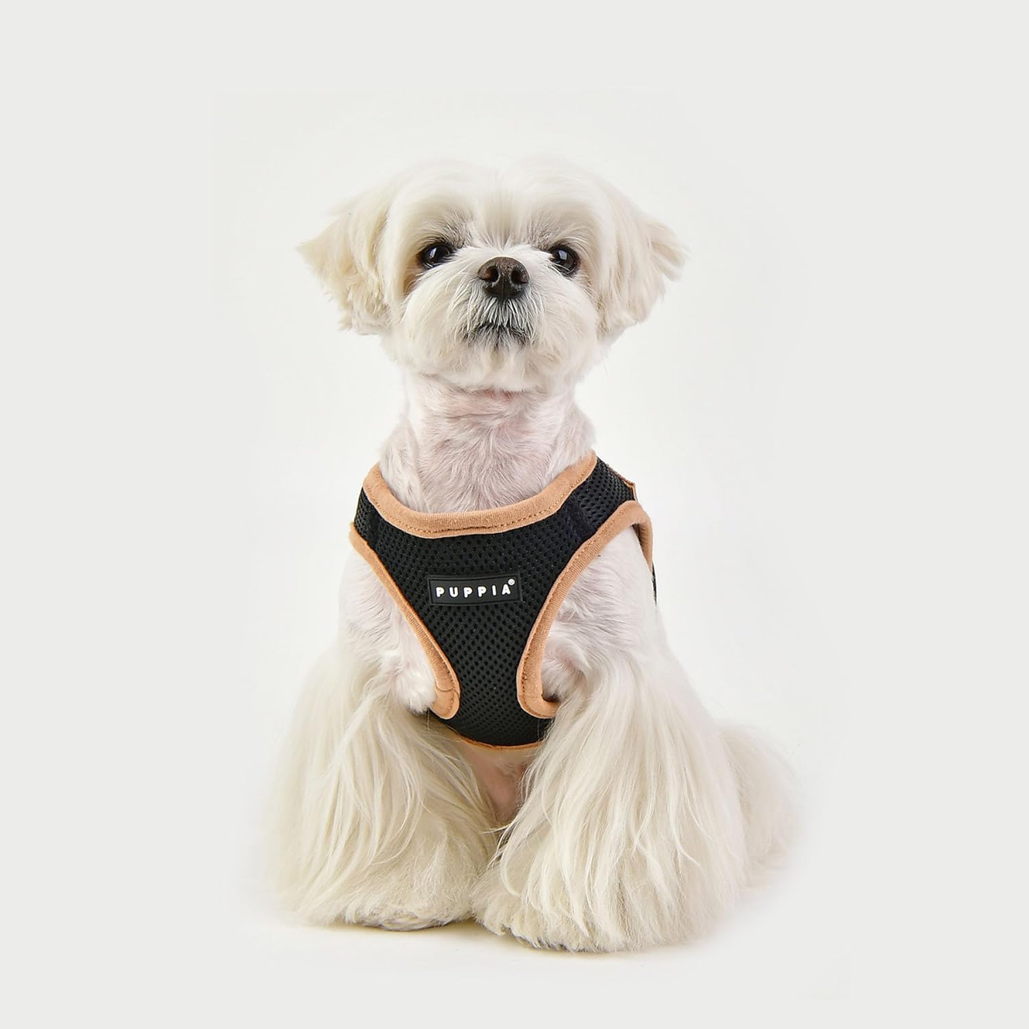 Puppia Soft Vest Harness B Ii Black Xl Dog Harness - 110 g 5 615umjK EwL. AC SL1500