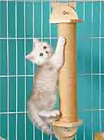 猫 爪とぎ 爪研ぎ ポール 麻 30cm ゲージ コンパクト 猫 爪とぎ ポール 30cm ケージ用 麻紐 爪研ぎ キャットポール