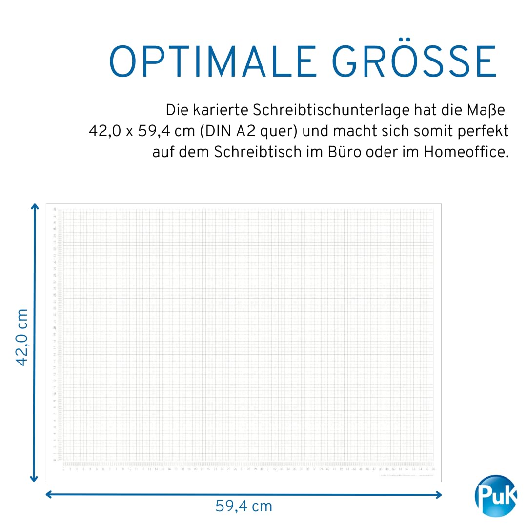 Karierte Papier-Schreibtischunterlage | DIN A2 | seitlich abgedrucktes Lineal | 30 Blatt zum Abreißen | mathematisches Papier karierter Block | zum Beschreiben und Skizzieren (DIN A2 mit Schutzleiste)