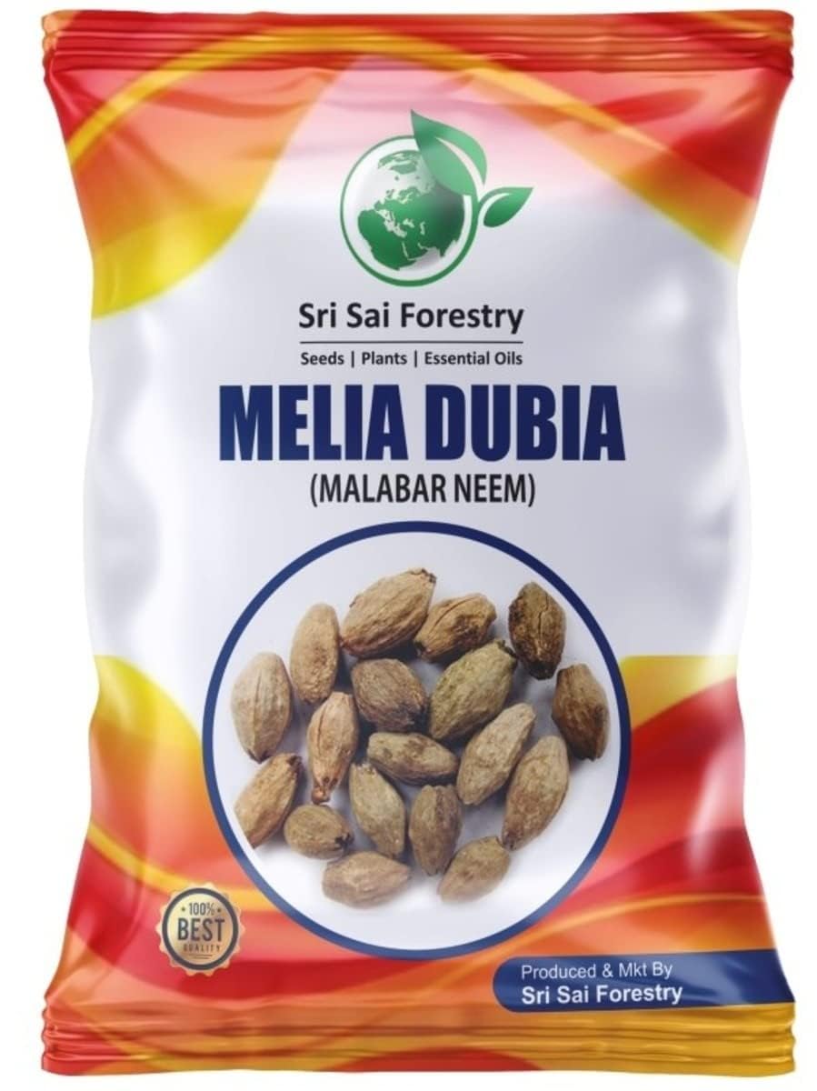 Sri Sai Forestry Melia Dubia Tree Seeds 1Kg - Fast Growing Plywood Tree - Malabar Neem Tree Seed for Agriculture Lands (B0CR1BT5Y1) Amazon Price History, Amazon Price Tracker
