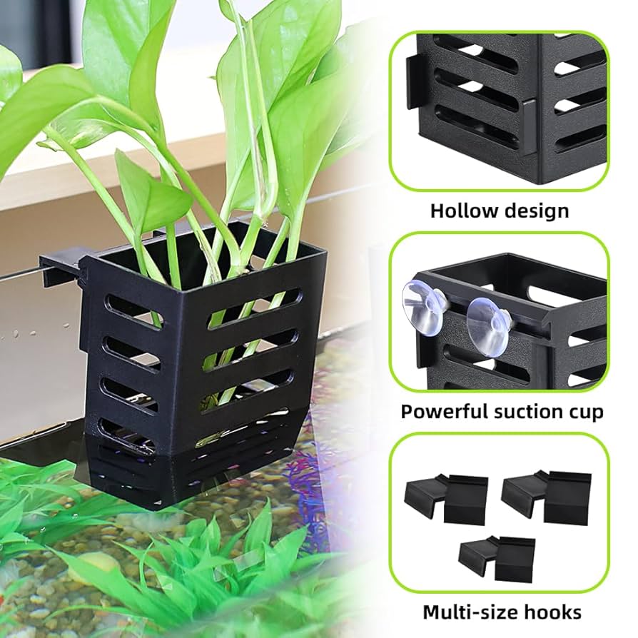 Amazon.com: Jaxbo Upgraded Hanging Aquarium Plant Holder,2