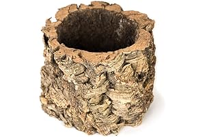 Josh's Frogs Virgin Cork Planters: Nurturing Nature's Delights (6" Tall)