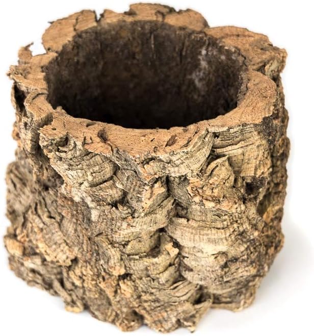 Natural 6-Inch Tall Cork Tree Planter Pot