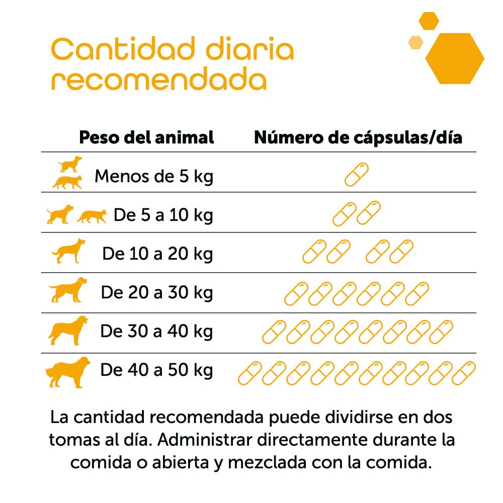 MP Labo Hepa + MP 60 cápsulas para proteger las células hepáticas y el buen funcionamiento del hígado y los conductos biliares en perros y gatos, contiene cardo mariano, ahumado y antioxidantes