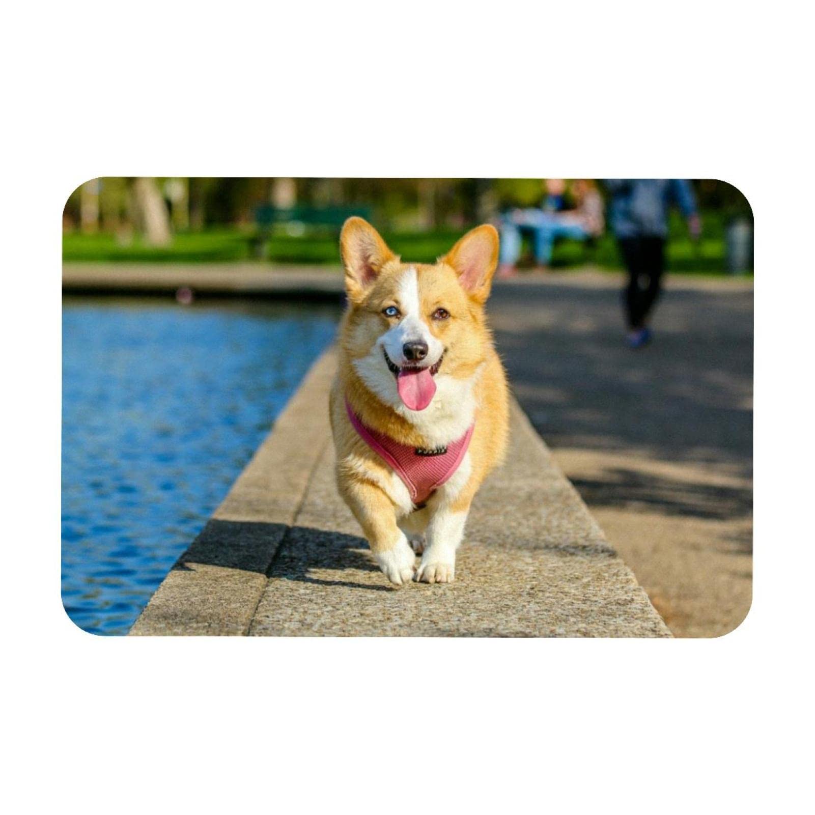 Zerbino Divertente Con Corgi 'Protetto Da Corgi' 43x73 Cm - Tappetino Benvenuto Antiscivolo Per Esterno E Interno, Gomma E Poliestere