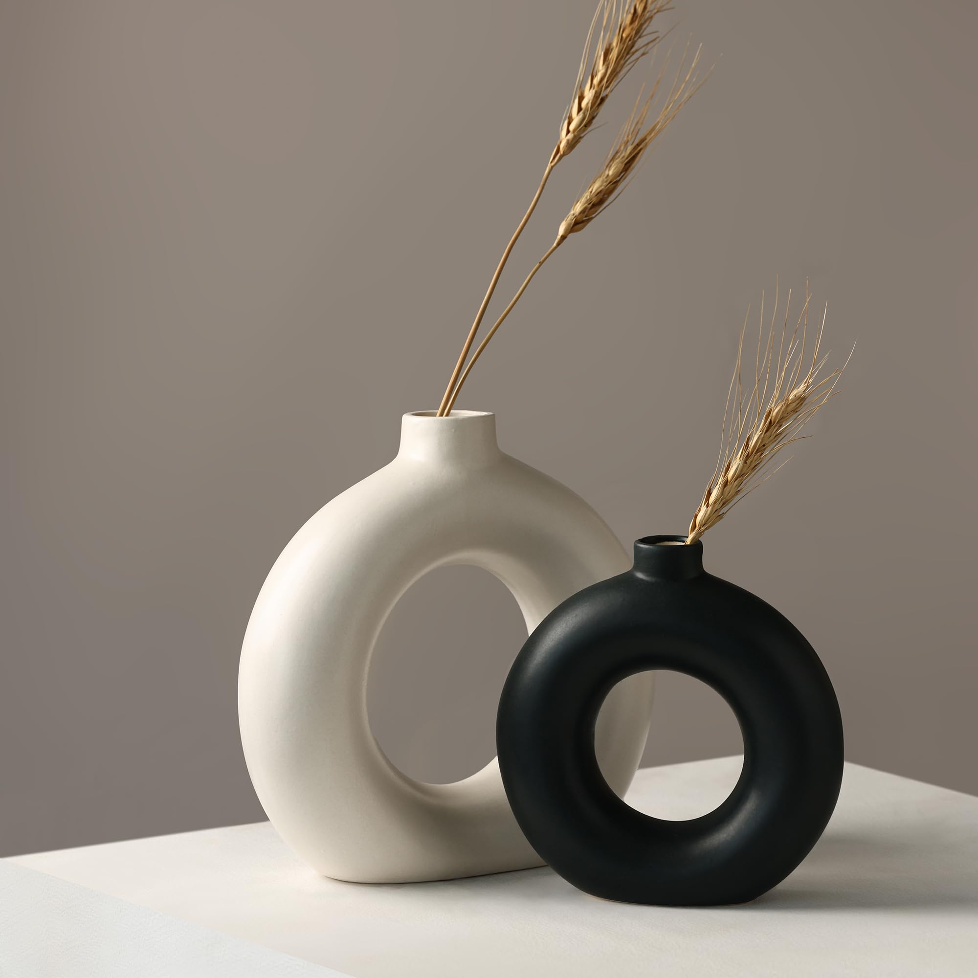 Earthly India 2 Colors Ceramic Donut Vase for Living Room, Elegant Pampas Grass Vase for Home Decor | Stylish Round Shape Vases for Bedroom, Office | Decorative Gift-(White 8 & Black 6 Inch) Set of 2 (B0CTFGQCG5) Amazon Price History, Amazon Price Tracker