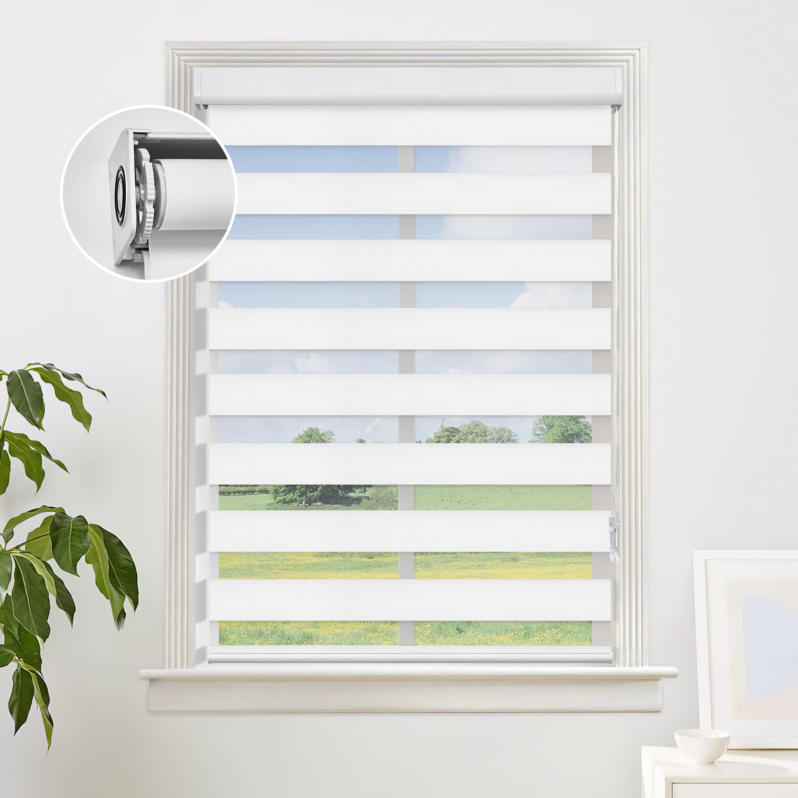 Tende a rullo facili da montare, tende per finestre diurne e notturne, tende filtranti per casa e ufficio, 175 x 122 cm (larghezza x altezza), design moderno, facile installazione