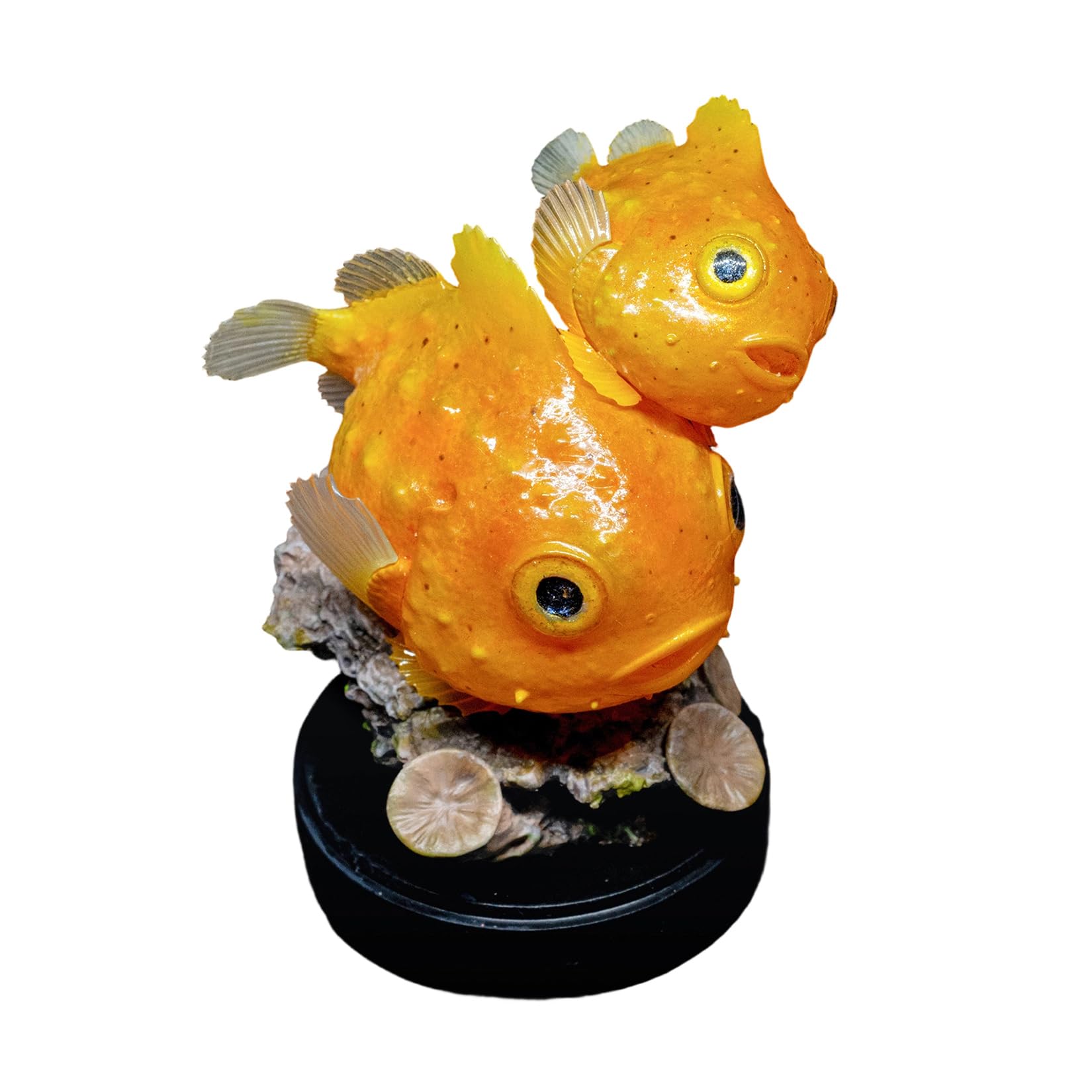 Eumicrotremus Pacificus AMITD poisson orange modèle réduit statuette mer collection faune
